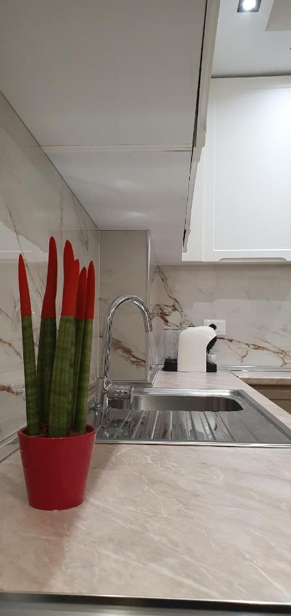 Luxury Drijon Apartments 3J Shkodër エクステリア 写真